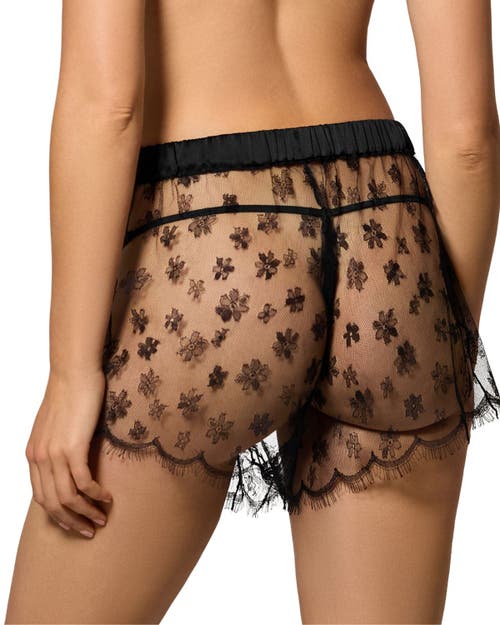 Kiki De Montparnasse All Over Lace Boxer Short In Black