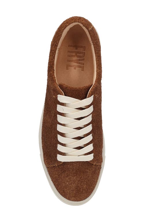 Frye Ivy Low Top Sneaker In Brown