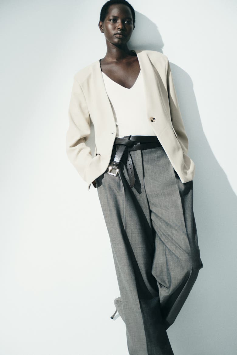 Collarless Jersey Blazer, Alternate, color, Beige