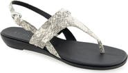 Aerosoles Gemal Slingback Sandal