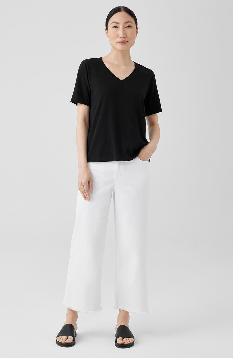 Eileen Fisher Easy V-Neck Slub T-Shirt, Alternate, color, 
