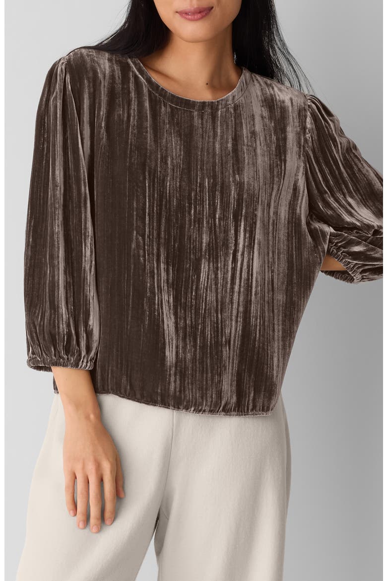 Bubble Sleeve Velvet Top, Main, color, RYE