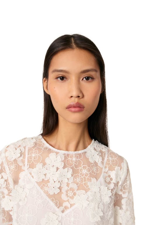 Maje Embroidered Short-sleeved Top In White