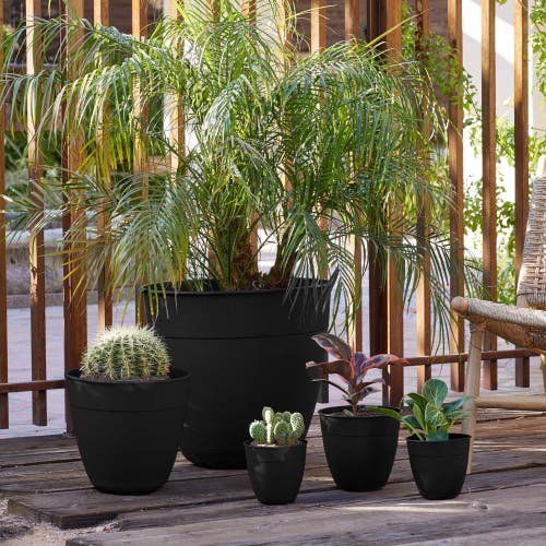 Bloem Dayton Gardening Planter With Saucer Tray, 12 Inch W X 11 Inch H Black In Black