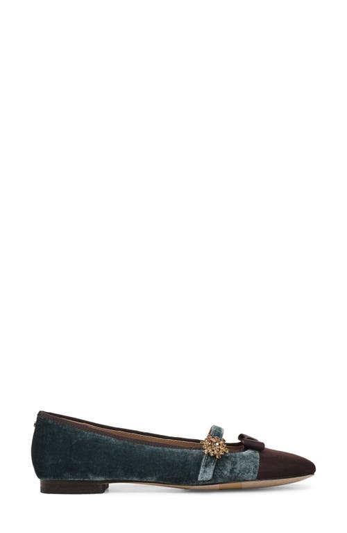 Sam Edelman Madi Mary Jane Flat In Multi