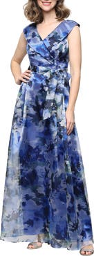 Alex Evenings Floral Organza A-Line Gown