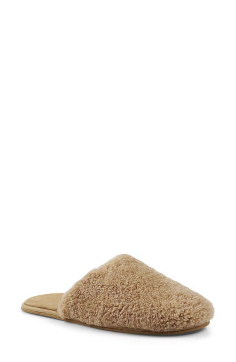 Essexx Slipper (Women)