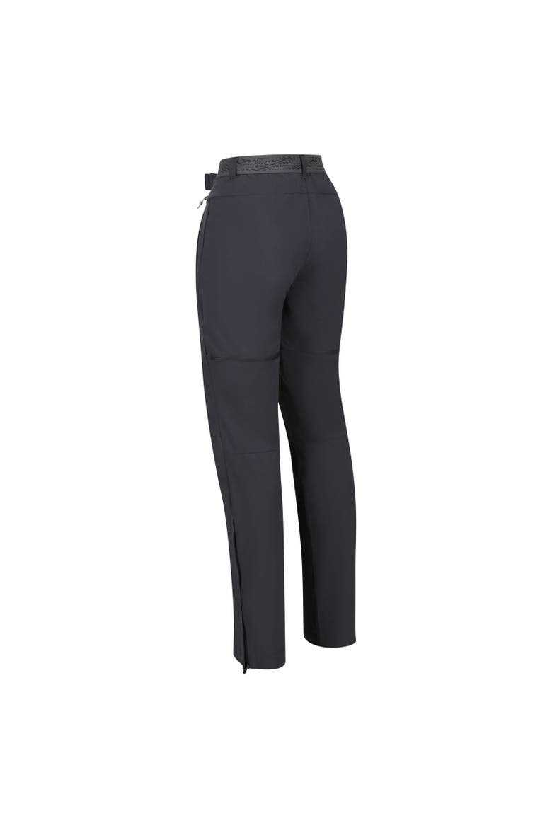 Mountain Zip-off Pants, Alternate, color, Seal Grey