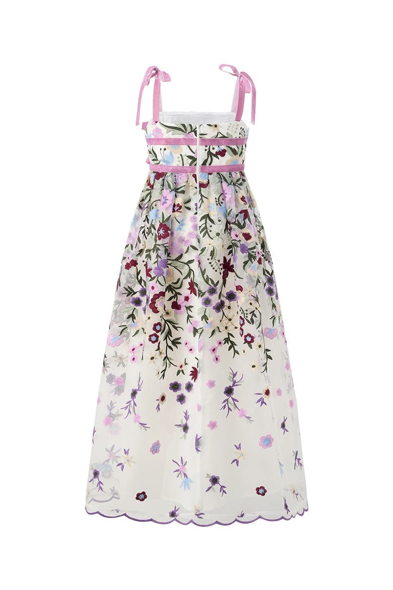 Chantelle Embroidered Maxi Dress, Alternate, color, Floral