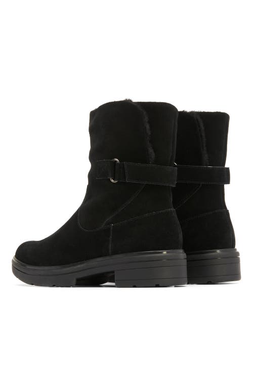 Abeo Vista Mid Boot In Black Suede - Regular