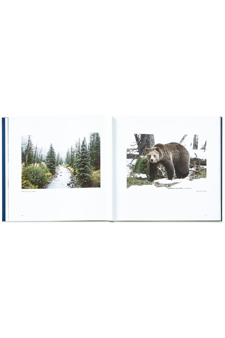 Yellowstone A Land of Wild and Wonder Leather Edition, Alternate, color, IVORY