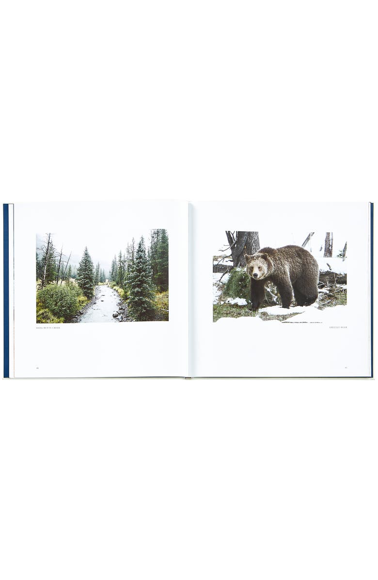 Graphic Image Yellowstone A Land of Wild and Wonder Leather Edition, Alternate, color, Ivory