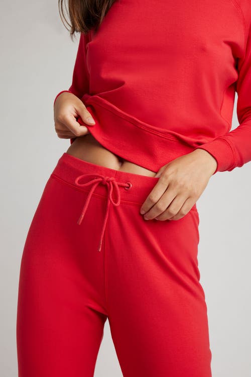 Negative Underwear Club Jogger In Cherry