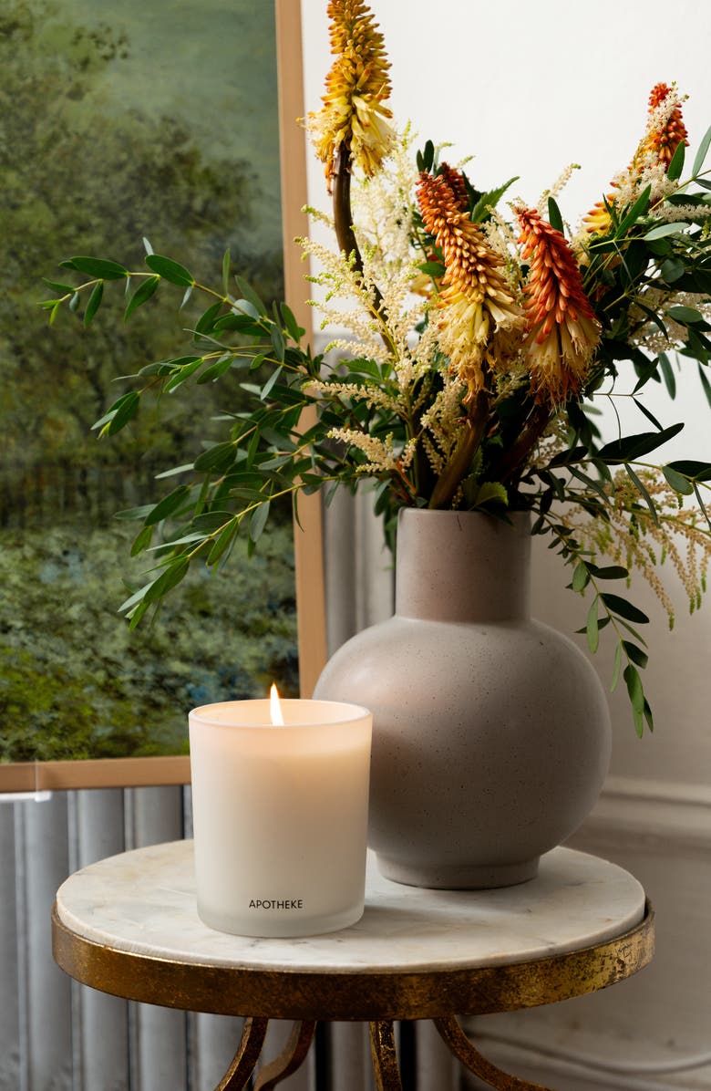 APOTHEKE Amber Woods Candle, Alternate, color, White