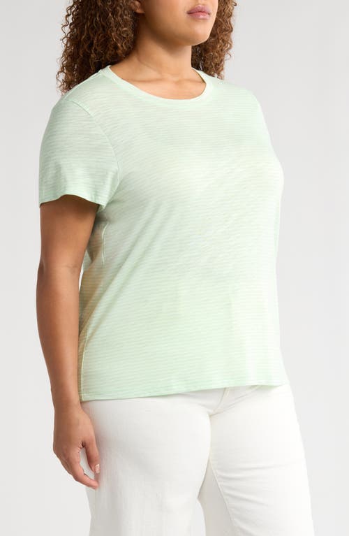 Sanctuary The Perfect T-shirt In Mint Tea
