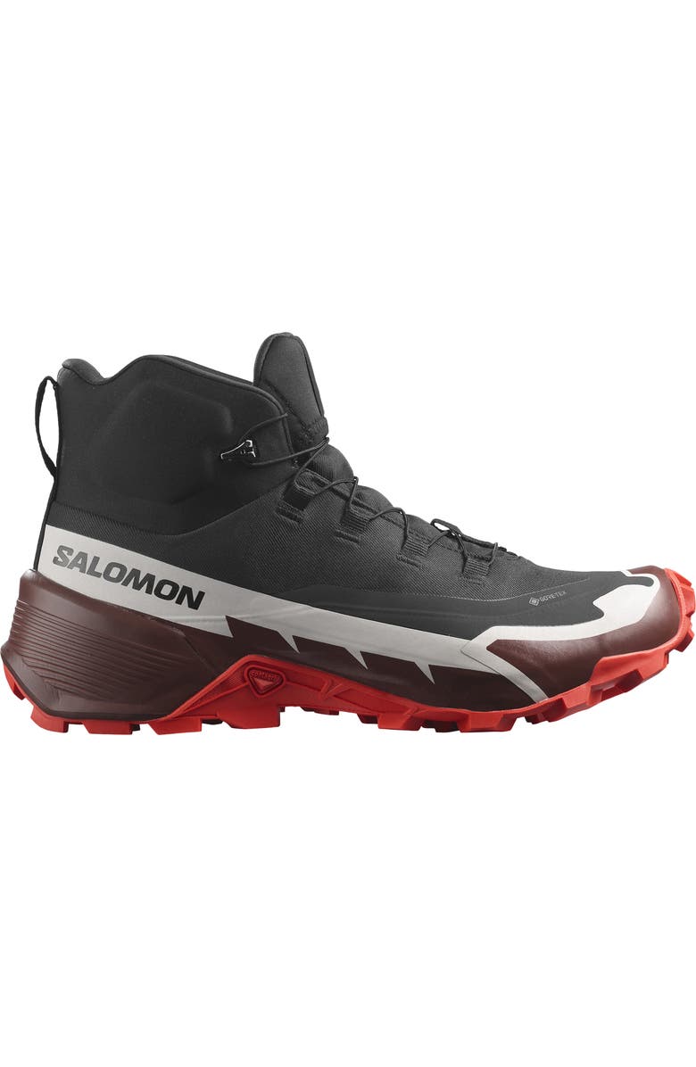 Salomon Cross Hike 2 Mid GTX Shoe, Alternate, color,