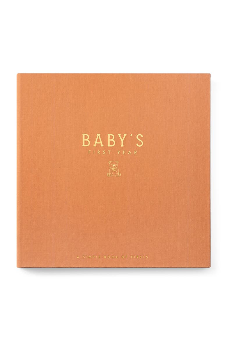 'Baby's First Year' Teddy Bear's Picnic Memory Book, Main, color, RUST