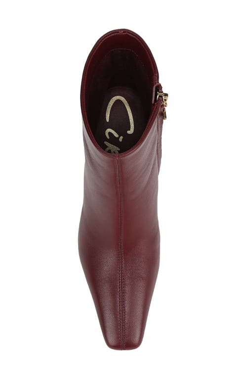 Circus Ny By Sam Edelman Laura Snip Toe Bootie In Burgundy