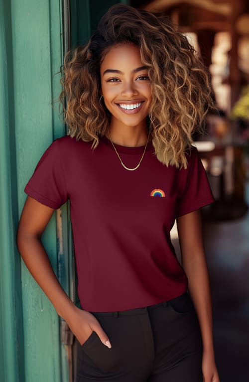 Dalix Womens Rainbow Jersey Relaxed Tee