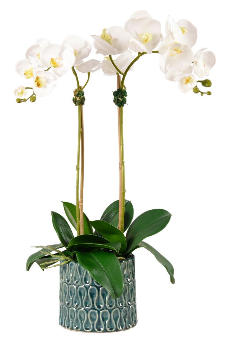 Casual Orchid Planter Decoration, Main, color, GREEN MEDIUM