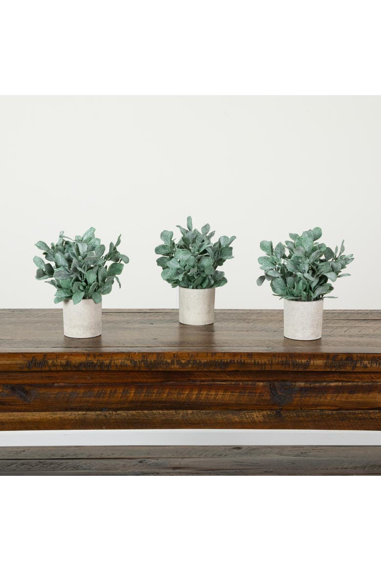 8-in Artificial Lambs Ear in Decorative Planter - Set of 3, Alternate, color, Green