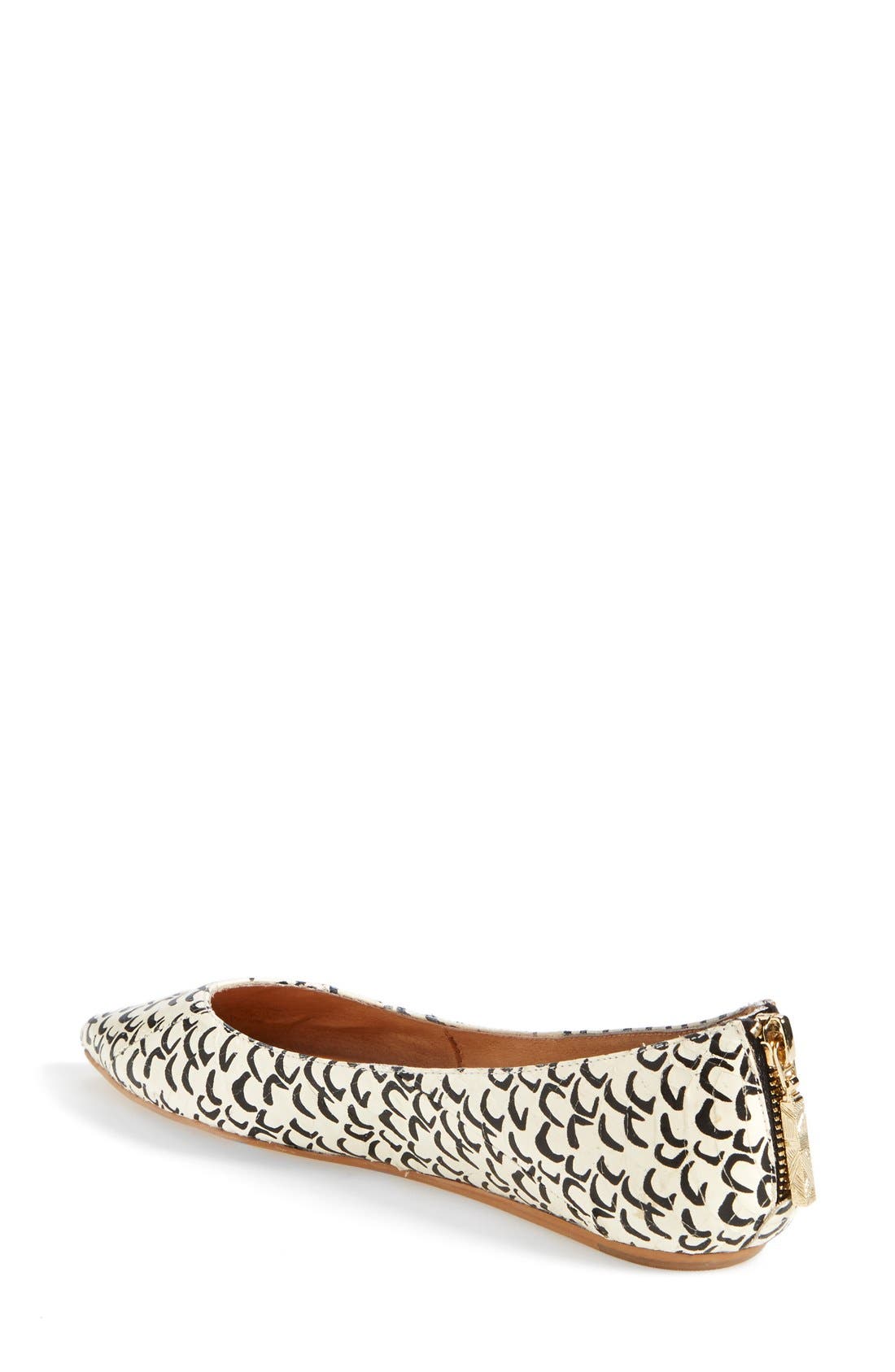 'Pavari' Pointy Toe Flat, Alternate, color, BLACK/ WHITE