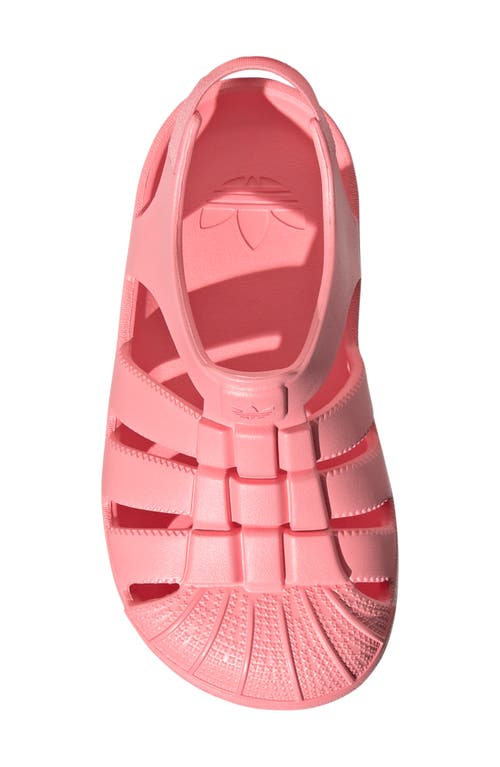 Adidas Originals Adidas Kids' Superstar Slingback Sandal