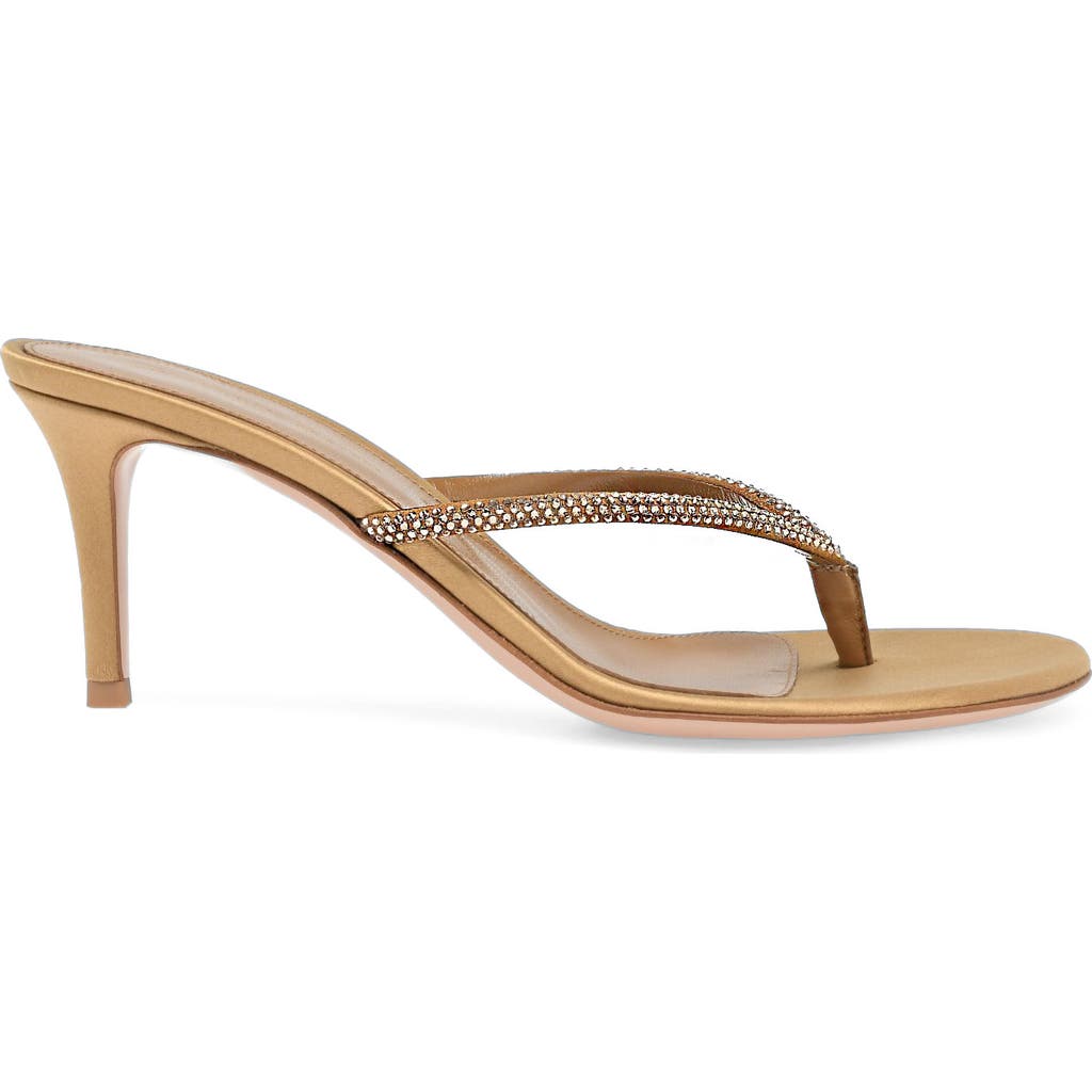 Gianvito Rossi India Thong in Brown Leather at Nordstrom, Size 36.5