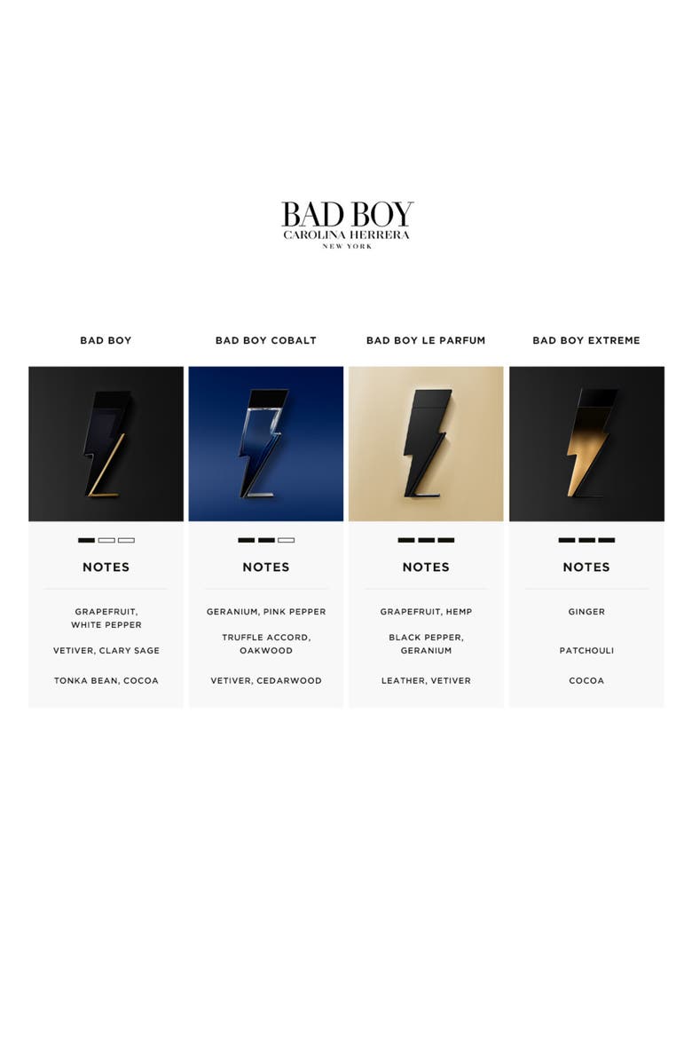 Bad Boy Extreme Eau de Parfum, Alternate, color, NO COLOR