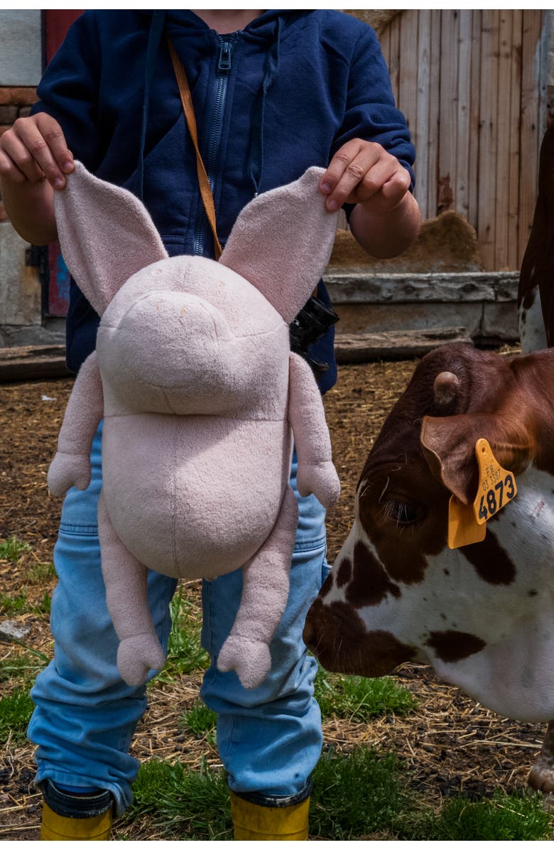 ADADA Helmut the Pig the stuffed animal beige rose, Alternate, color, Pink