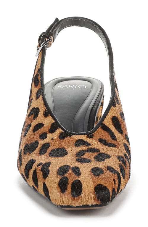 Sarto By Franco Sarto Sutton Slingback Pump In Animal Print