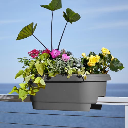 Bloem Modica Deck Rail Round Planter, Charcoal Gray In Gray