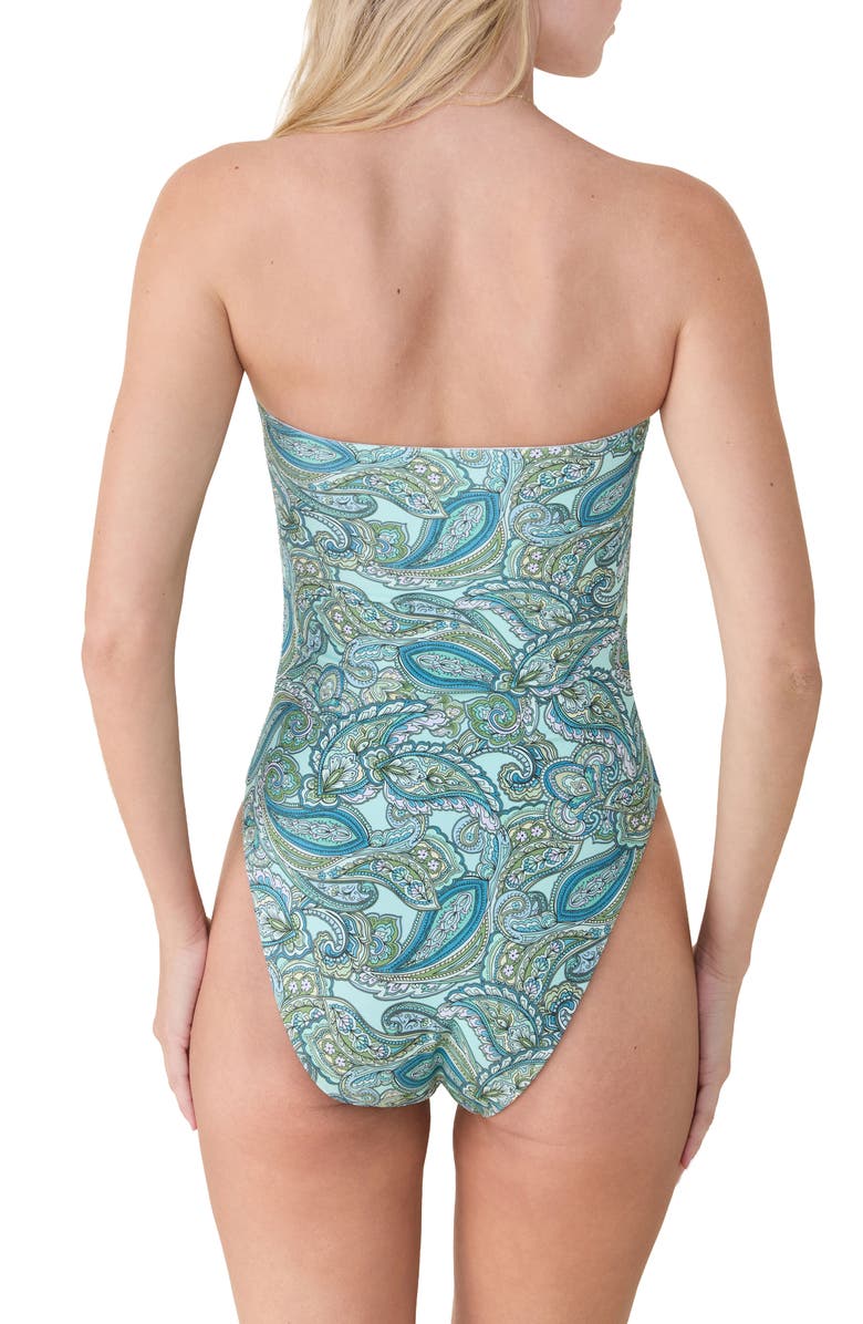 Andie The Kauai One-Piece Long Torso Swimsuit, Alternate, color, Poolside Paisley
