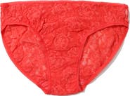 Hanky Panky Lace Bikini