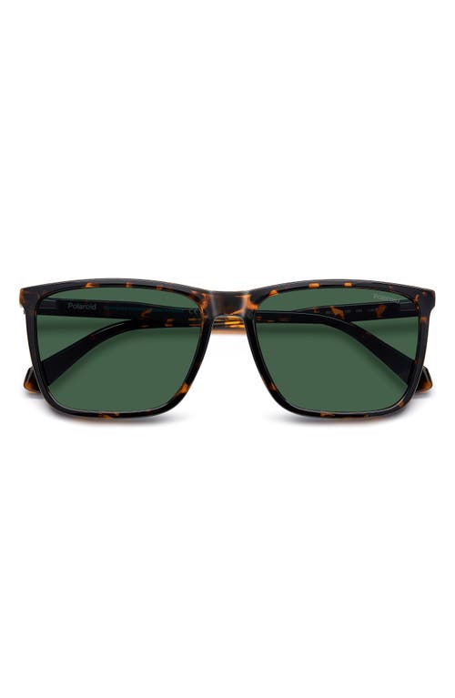 Polaroid 58mm Polarized Rectangular Sunglasses In Havana/green Polar