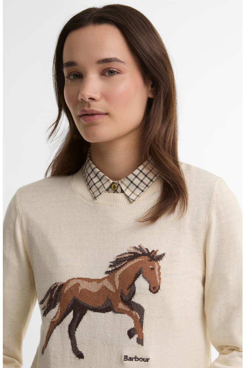 Homeswood Cotton and Cashmere Sweater, Alternate, color, ECRU