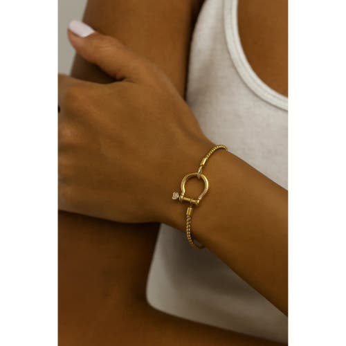 Hollywood Sensation The Lucky Lock Horseshoe Carabiner Clasp Bracelet In Gold