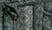 Burberry Belted Tile Print Silk Topper (Women) | Nordstromrack