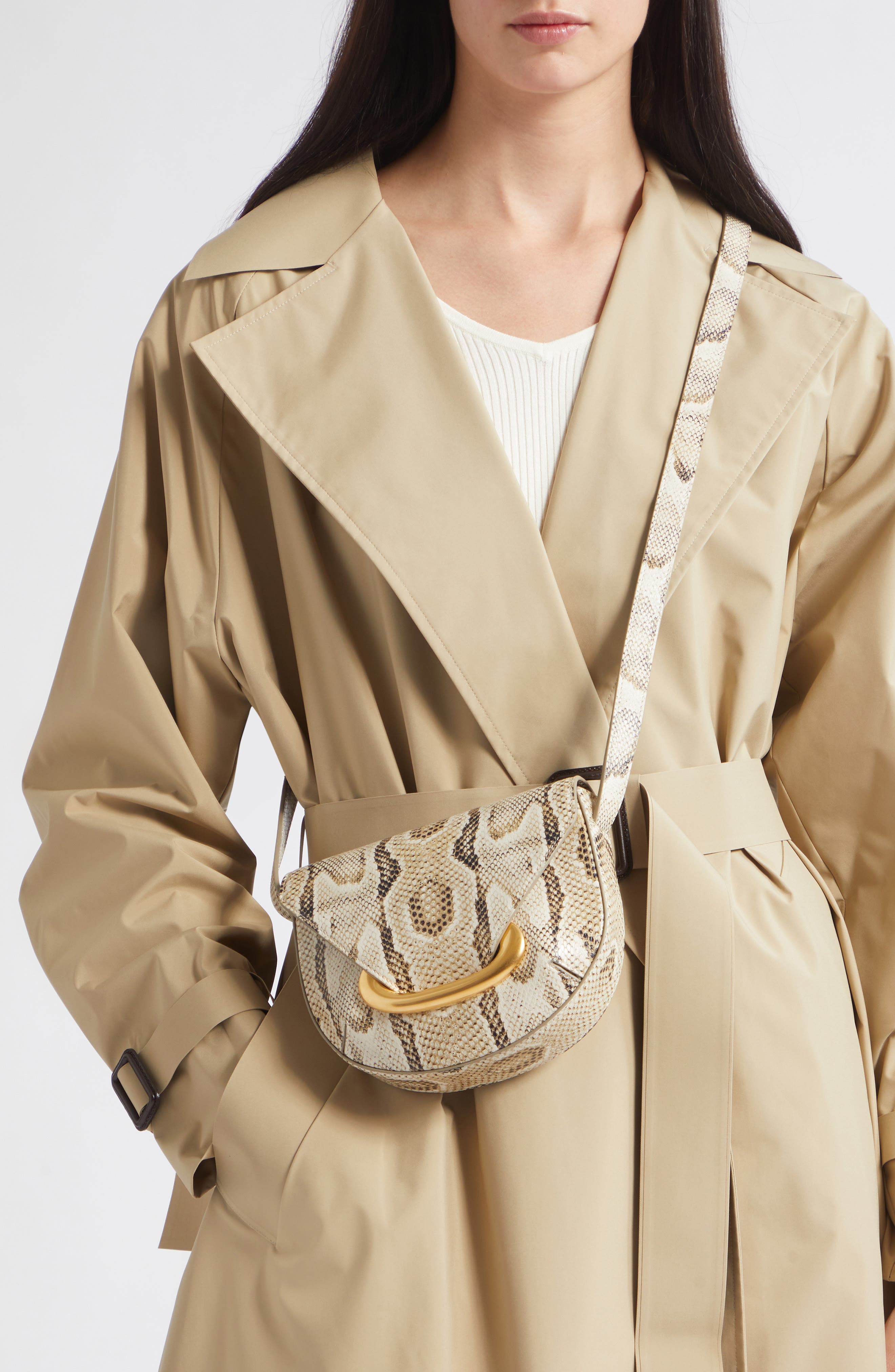 Small Veneto Snakeskin Leather Crossbody Bag, Alternate, color, ISLAND PYTHON