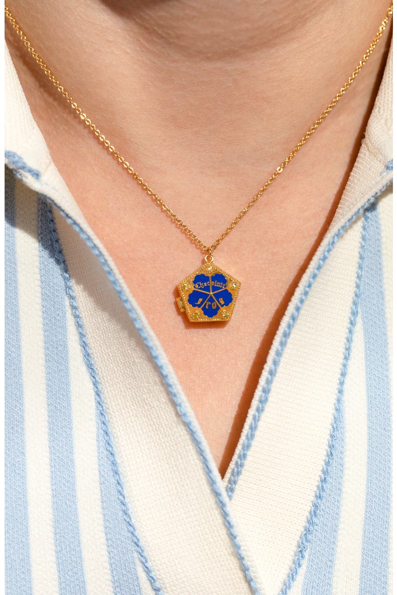 Harry Potter Chocolate Frog Locket Pendant Necklace, Alternate, color, GOLD