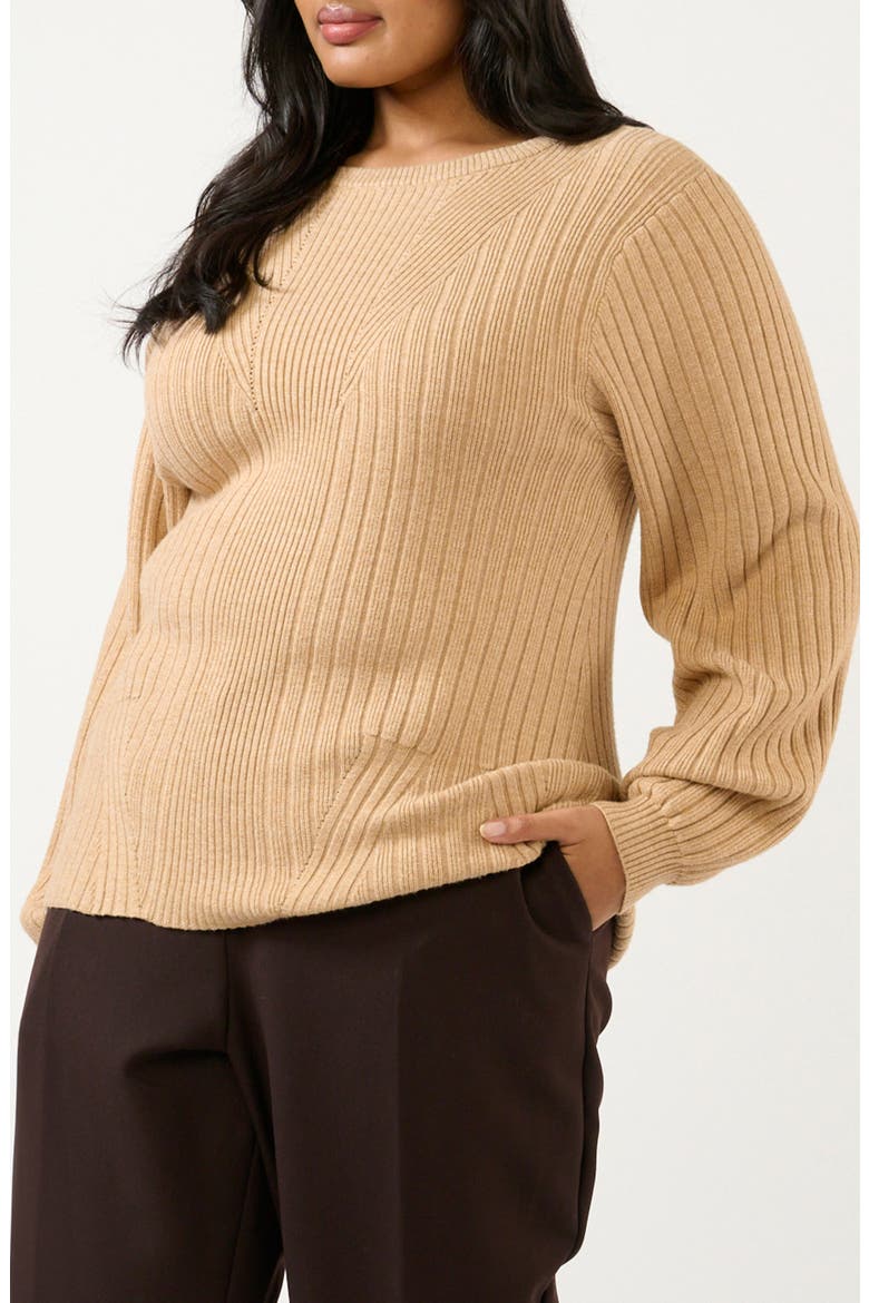Remi Blouson Sleeve Mixed Rib Sweater, Alternate, color, BEIGE