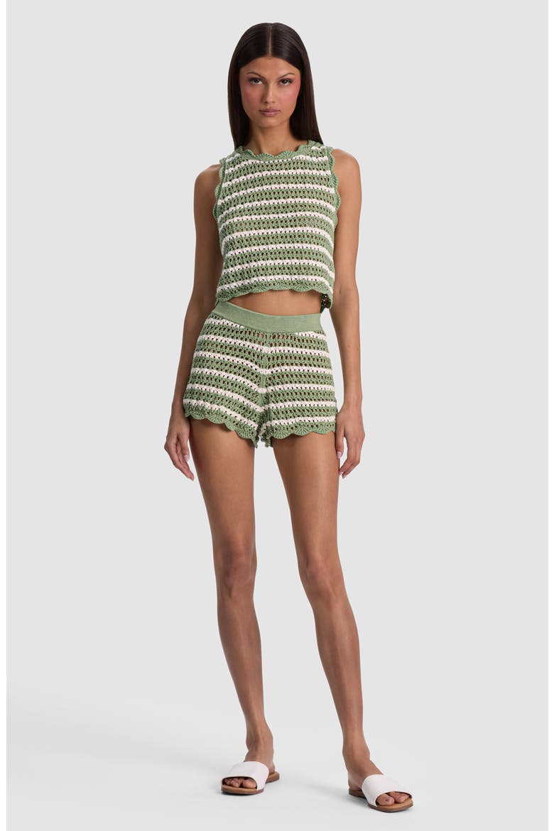 Bobbi Stripe Crochet Cotton Shorts, Alternate, color, SAGE/ SOFT WHITE