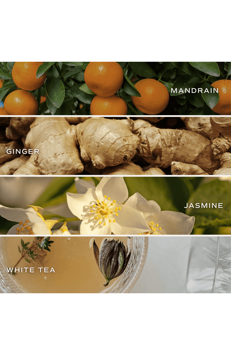 SWEET WATER DECOR White Tea and Jasmine 11 oz Soy Candle, Alternate, color, White Tea And Jasmine