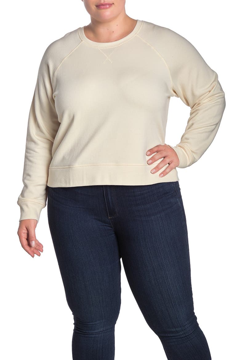 Crew Neck Raglan Sleeve Sweatshirt, Alternate, color, ANTIQUE CREAM