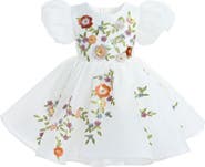 Tulleen Embroidered Puff Sleeve Dress