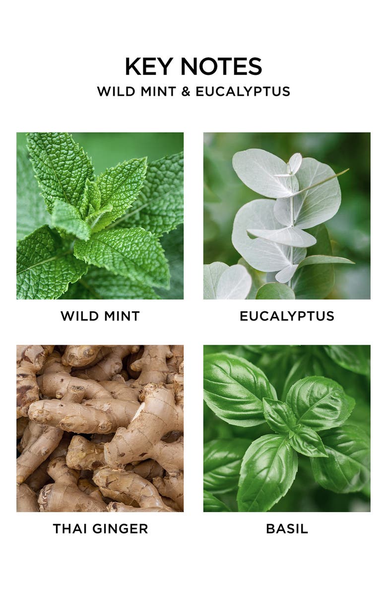 NEST New York Wild Mint & Eucalyptus Liquid Soap, Alternate, color, 