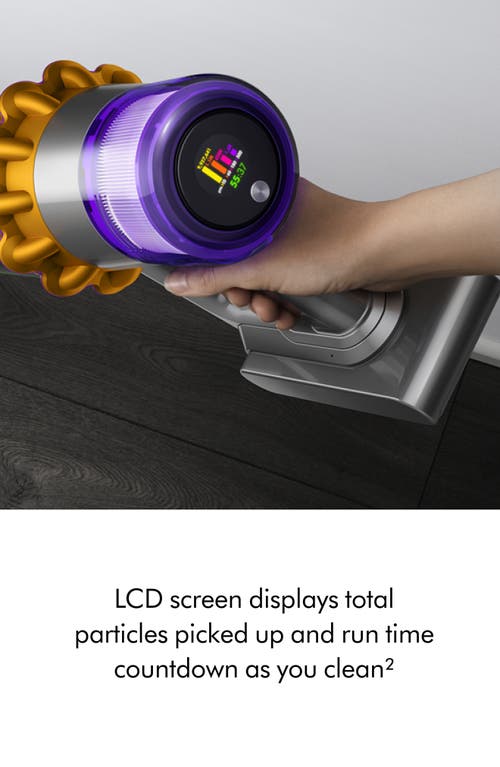 Dyson V15 Detect Vacuum