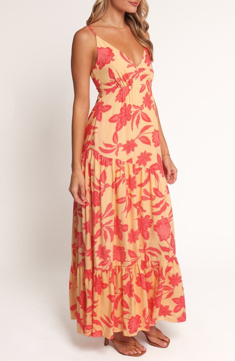 Petal & Pup Forbes Print Maxi Dress, Alternate, color, Red Floral