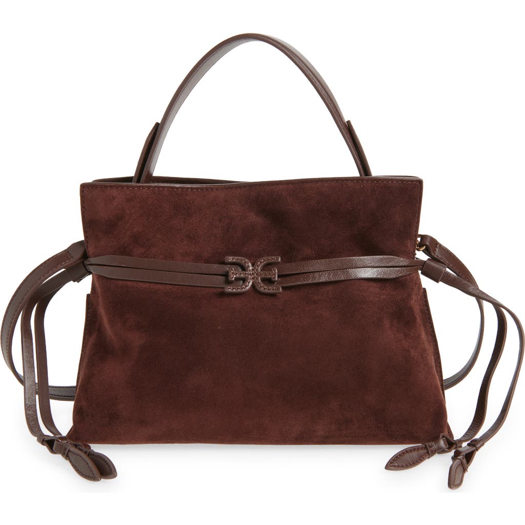 Sam Edelman Small Poppy Drawstring Leather Crossbody Bag In Brown