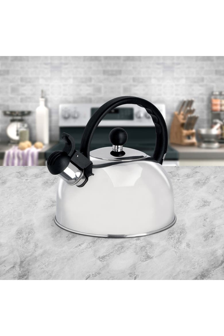 Springberry 2.25 Qt. Stainless Steel Kettle, Alternate, color, Metallic Silver
